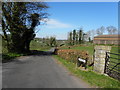 Scallen Road, Carran