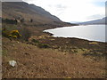 Loch shore at Linneraineach