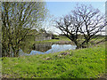 Pond at Common Farm, Marlesford