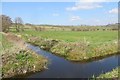 Rhyne junction, Butleigh Moor