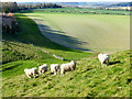 Downland, Shalbourne