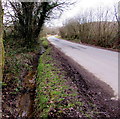 Roadside drainage channel in Dare Valley Country Park 