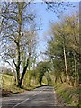 Green Dene,  passing Mountain Wood