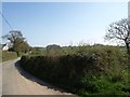 The minor road from Dunsford to Cheriton Bishop, near Haylake