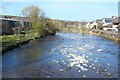 River Teviot