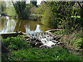 Sluice on the Pipp Brook