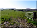 An open field, Killymore