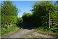 Track leading to Grange Farm, Micklefield