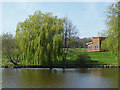 Meadowbank Lake, Dorking