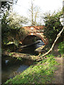 TM1573 : River Dove & Abbey Bridge by Geographer