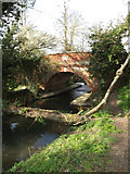 TM1573 : River Dove & Abbey Bridge by Geographer