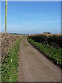 Track west of Claverley