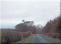 NS3113 : B7024 from driveway near Low Milton by John Firth