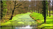 SP3389 : Seeswood Canal, Arbury Park by John Brightley