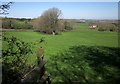 Field, Penpill Farm