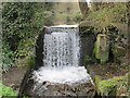 Weir on the River Chess