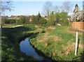 Cove Brook - upstream