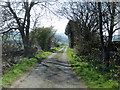 Single track road below Oakley Side