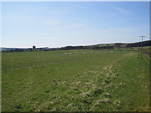 NU1405 : Farmland and sheep, Glantlees by Les Hull