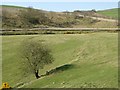 Valley of the Borthwick Water