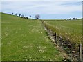 New hedgerow at Highchesters