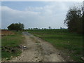 Farm track near Wallridge