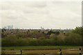 View of Canary Wharf and the Stratford Eye from Claybury Park #2