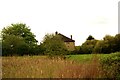 View of a house on Wedmore Avenue from Claybury Park