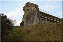 SY9582 : Ruined wall by N Chadwick