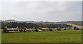 Kelsall Hill Horse Trials: cross-country fence 3