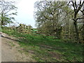 Field entrance east of Meldon