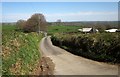 Lane to Upton Hall