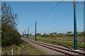 Tramway near Toton Lane