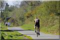 Comber Greenway