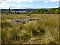 Remains of accommodation camp