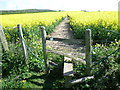 Footpath over Broom Downs