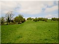 Six  Dales  Trail  heads  into  open  country