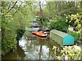 A Thames backwater, Windsor