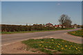 From South Carr Lane, past the dandelions, into Hibaldstow