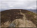 NN9364 : Summit of Meall an Daimh by Craig Wallace
