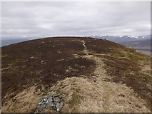 NN9364 : Summit of Meall an Daimh by Craig Wallace
