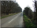 NZ1781 : Minor road beside Saltwick Plantation by JThomas