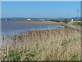 ST3382 : The mouth of the River Usk by Robin Drayton