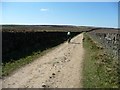 SE0632 : Cyclist heading west on the Bronte Way by Christine Johnstone