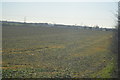 Farmland, Wheatcroft Farm