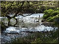 Inny near Tregulland