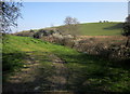 Footpath to St Clether