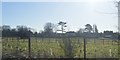 Farmland near Whetstone Grange