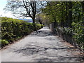 Hawber Lane - viewed from Bruthwaite Lane