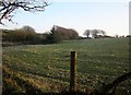 Field near Davidstow